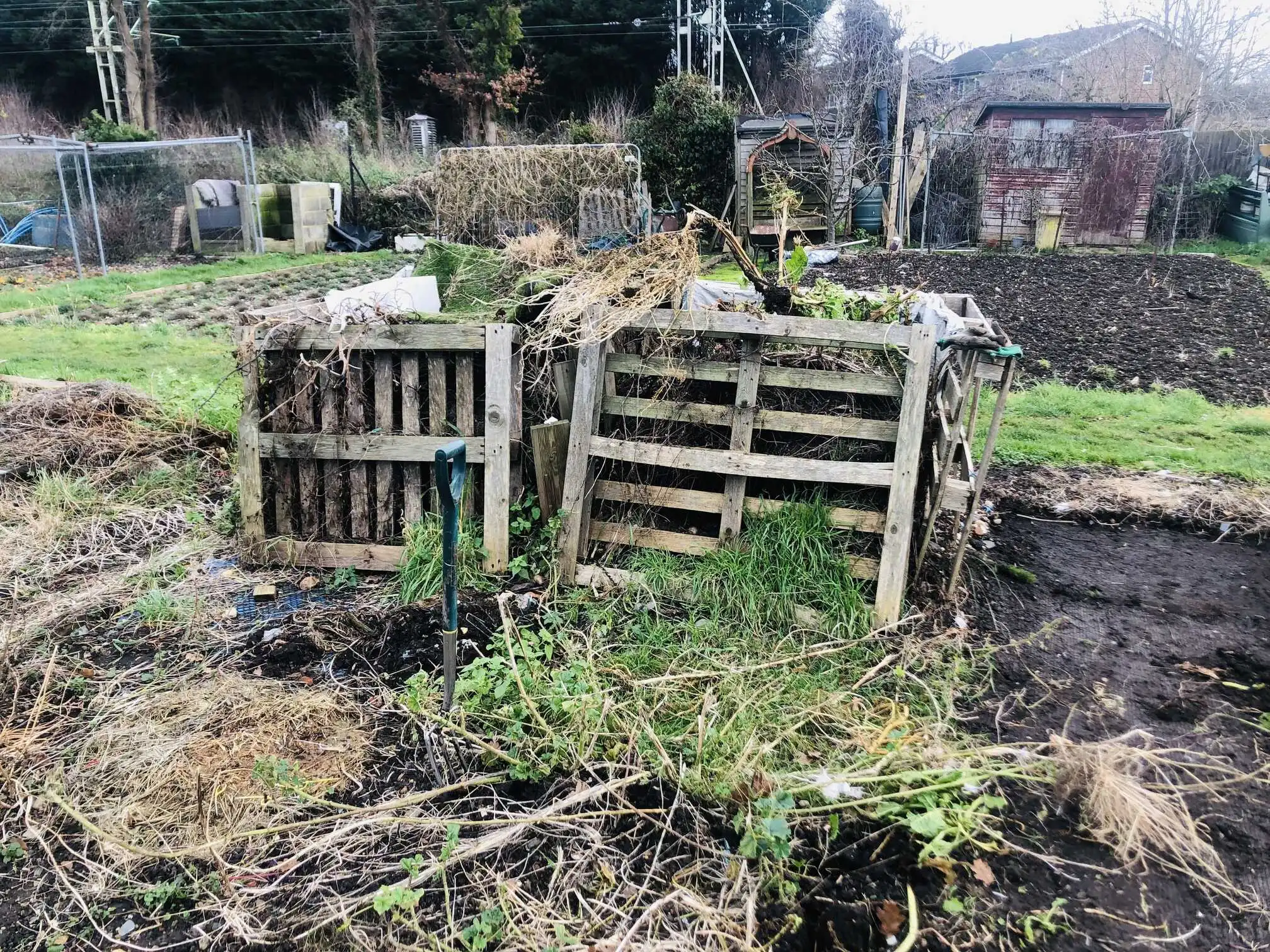 Clearing an allotment plot