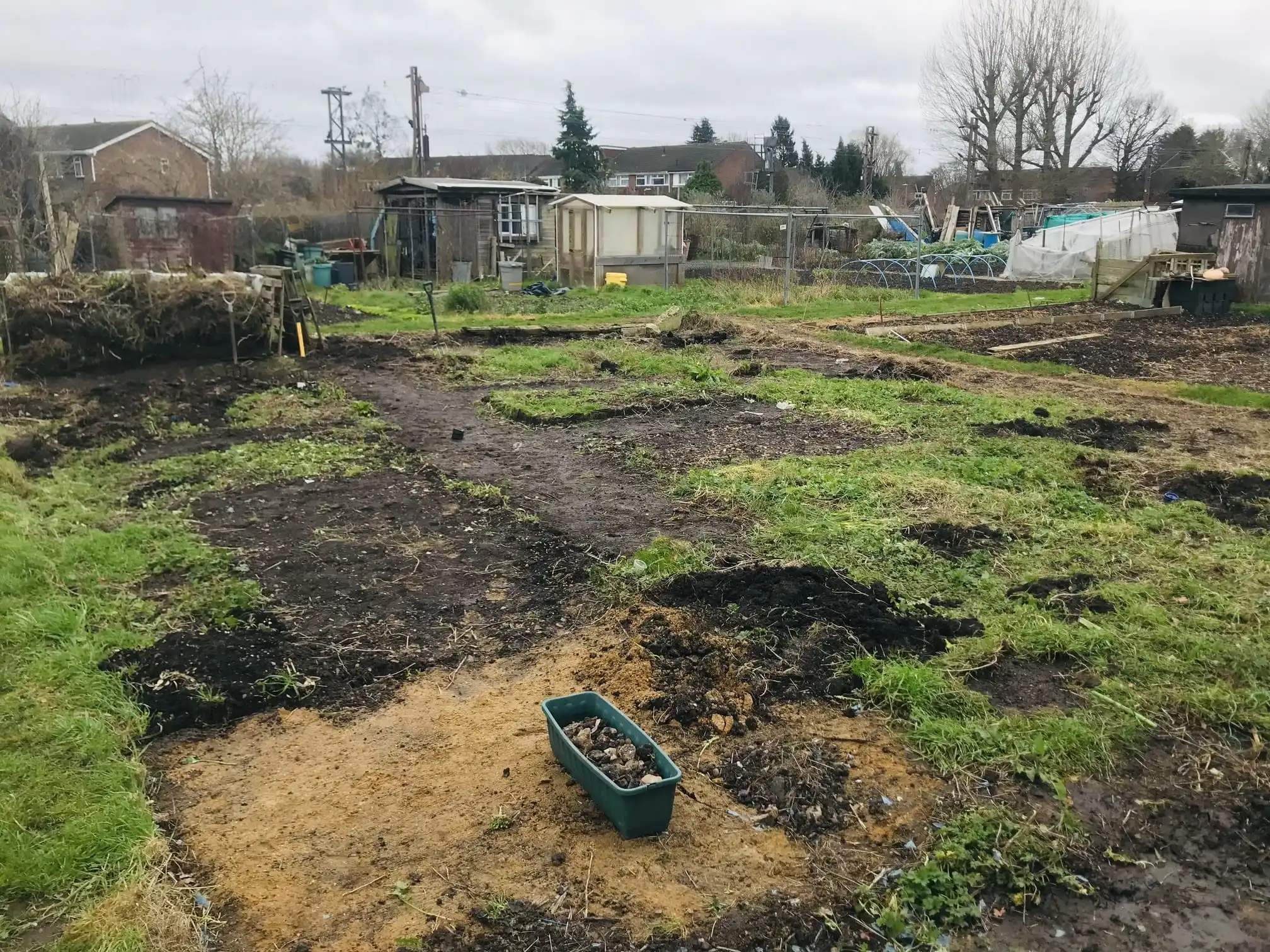 Clearing an allotment plot