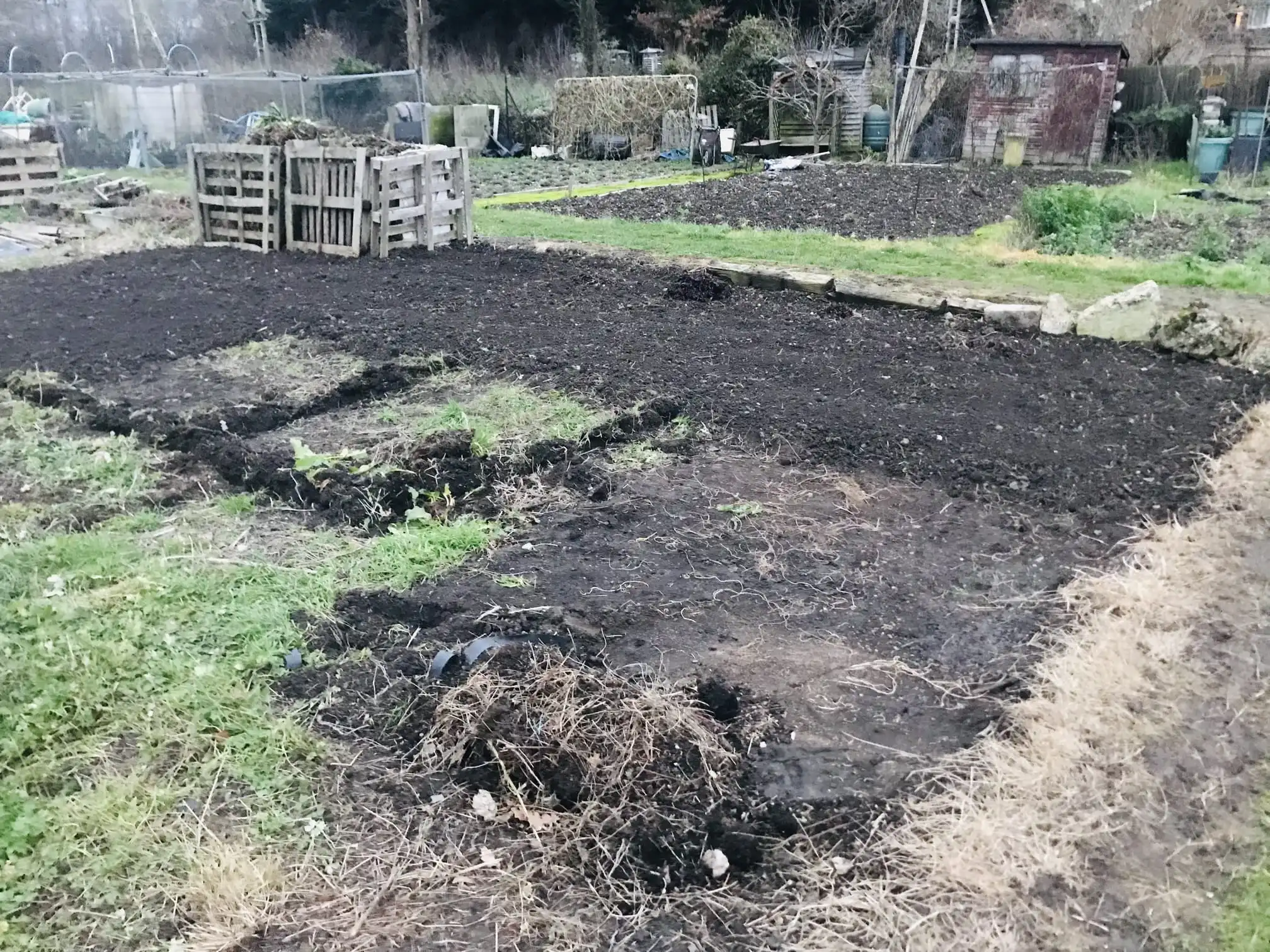 Digging over an allotment