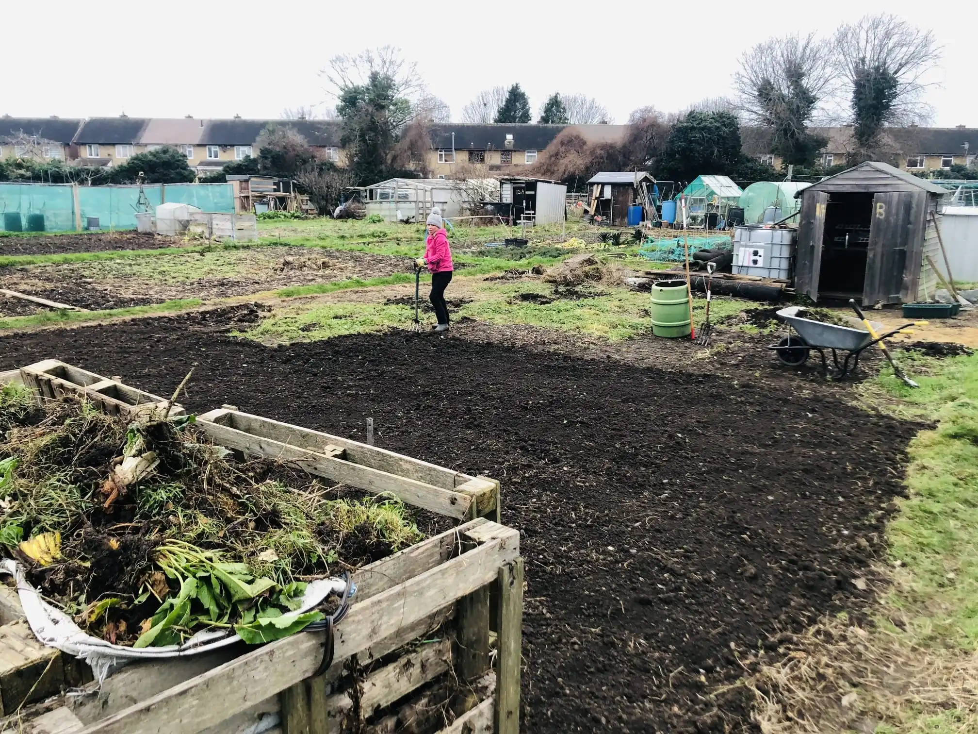 Digging over an allotment