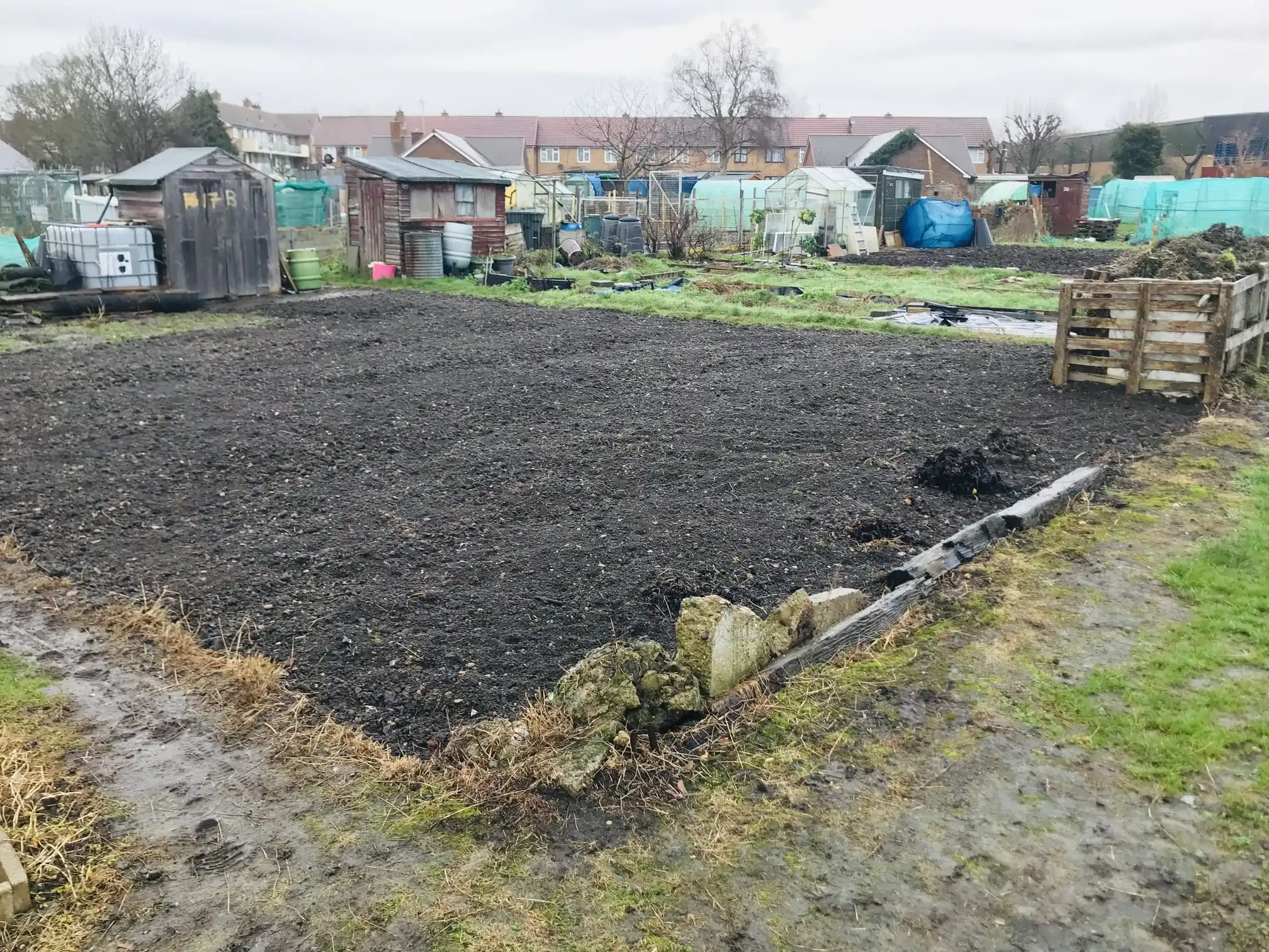 Digging over an allotment