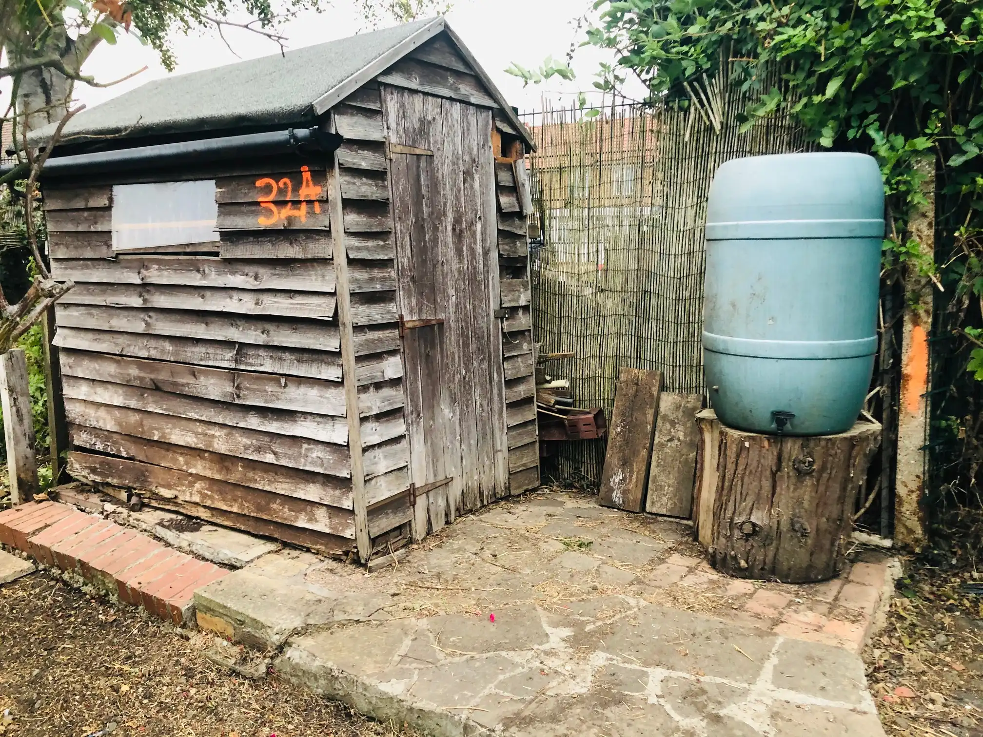 Clearing an allotment plot