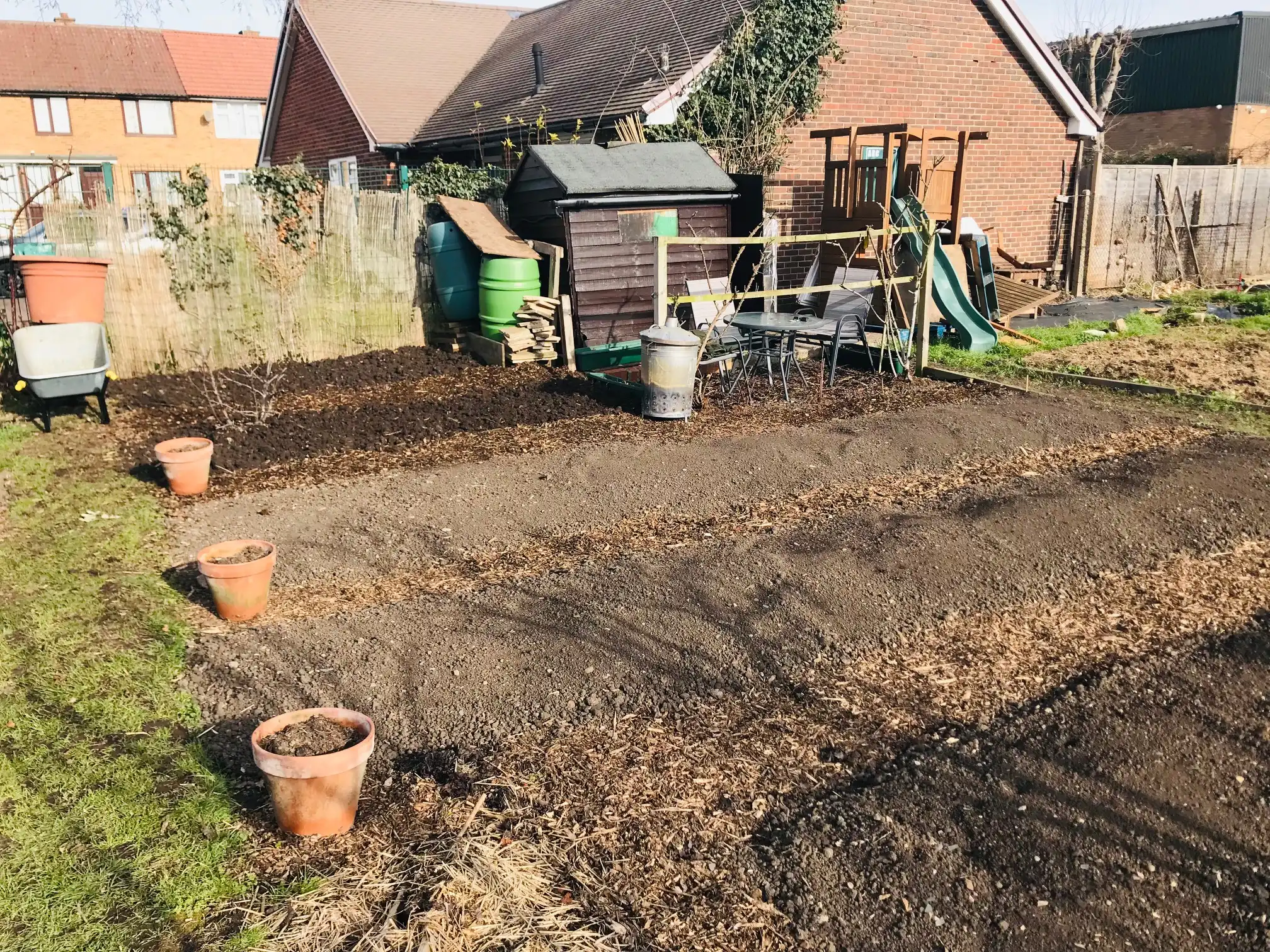 Seeds sown on the allotment