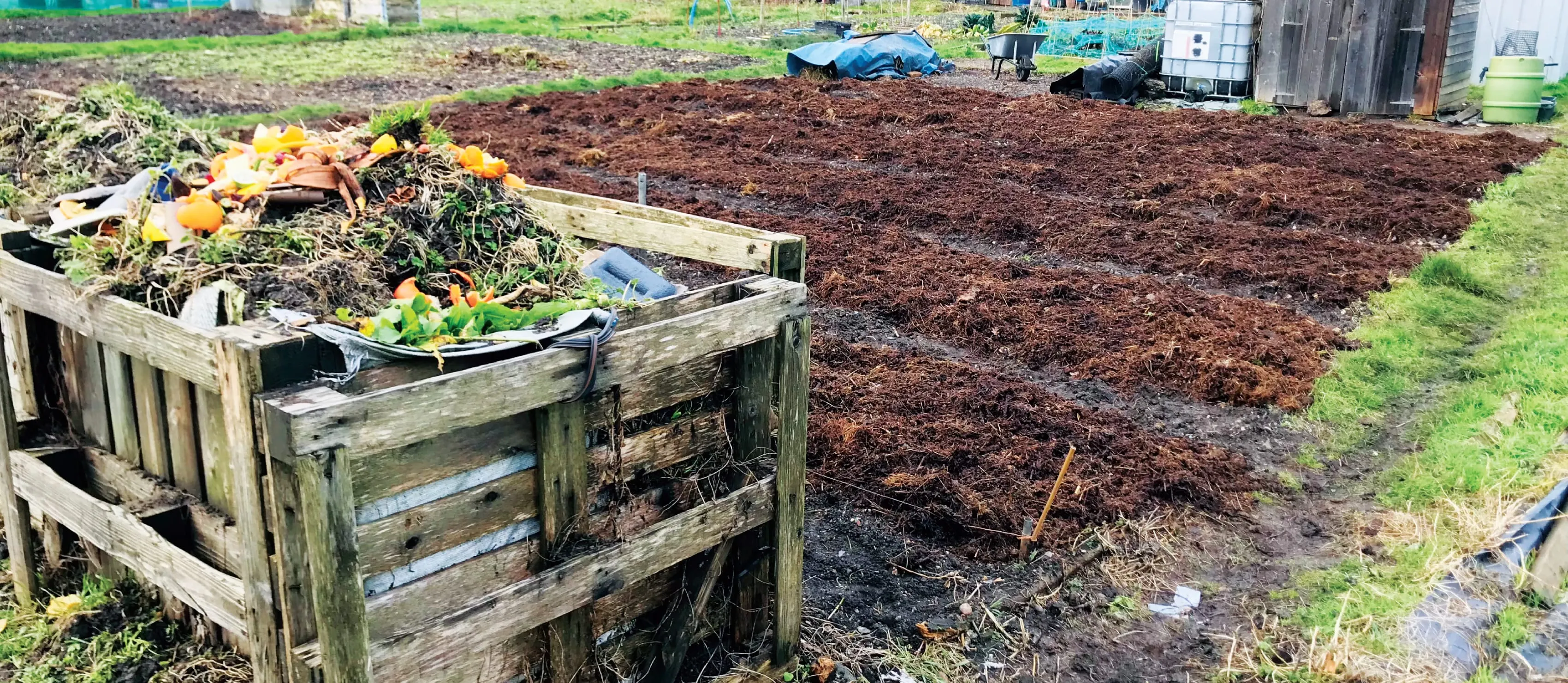 Allotment compost bins