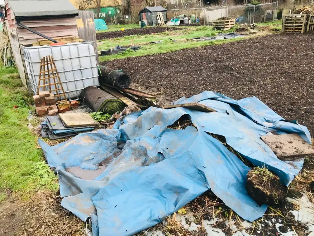 Clearing an allotment plot