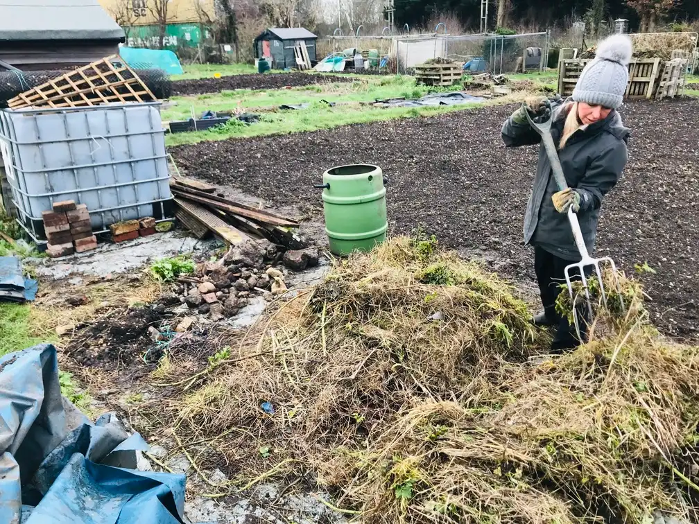 Clearing an allotment plot