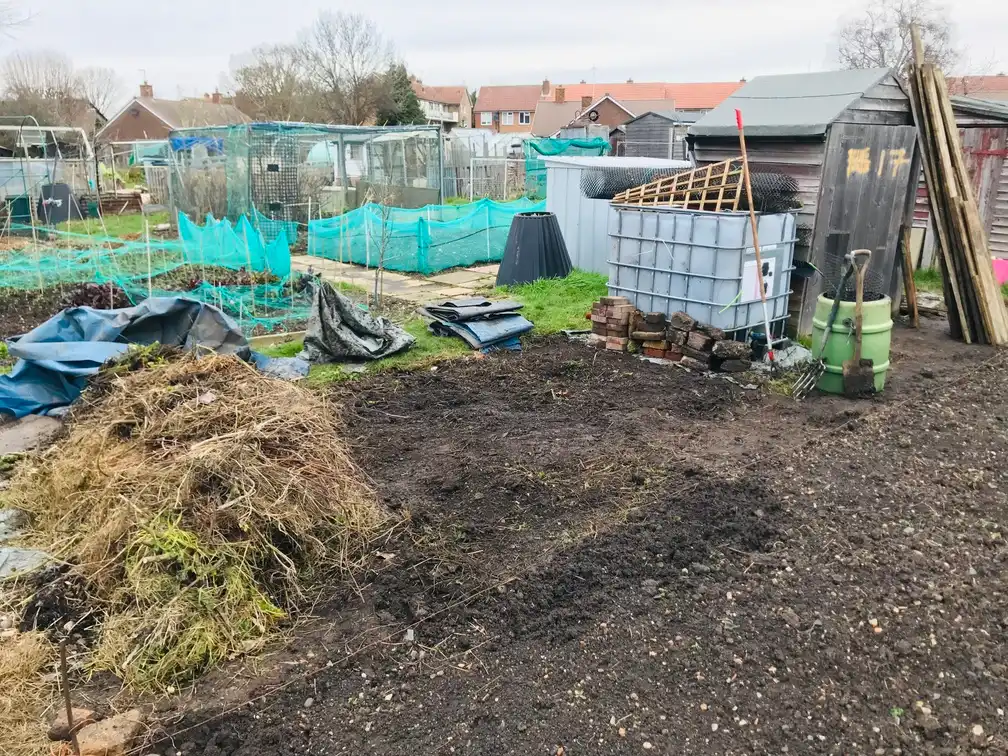 Clearing an allotment plot