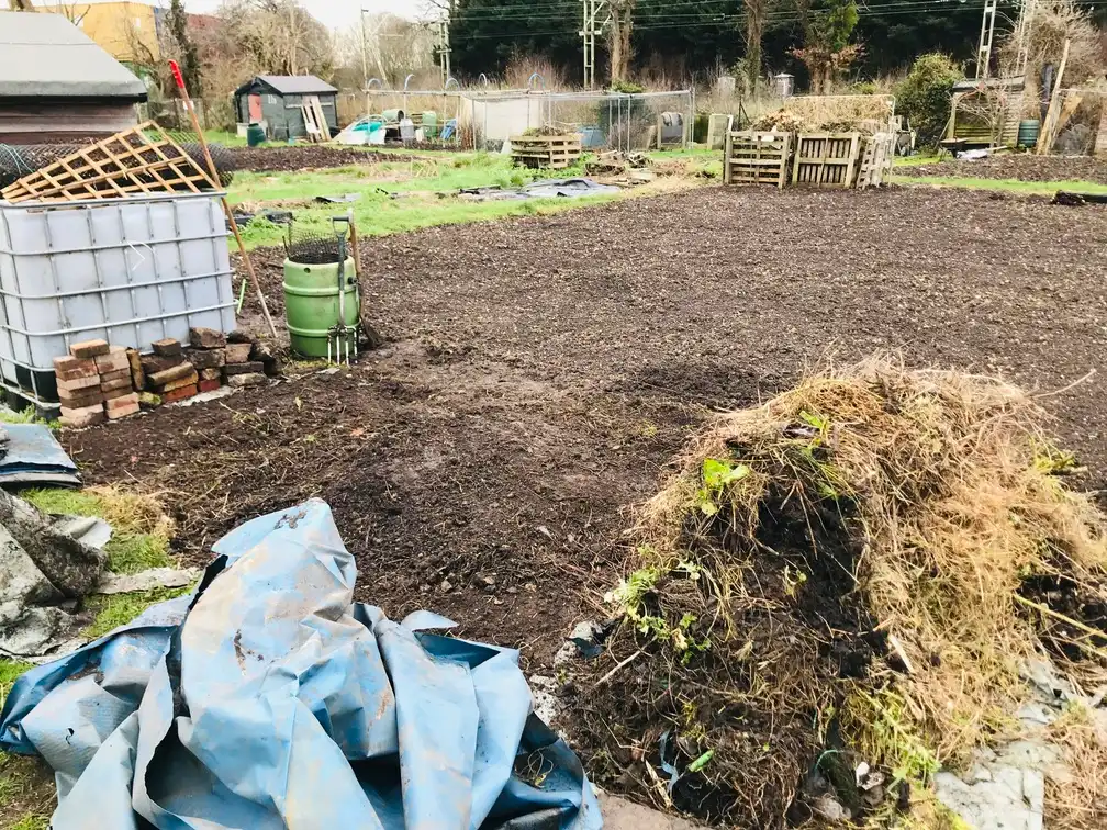 Clearing an allotment plot