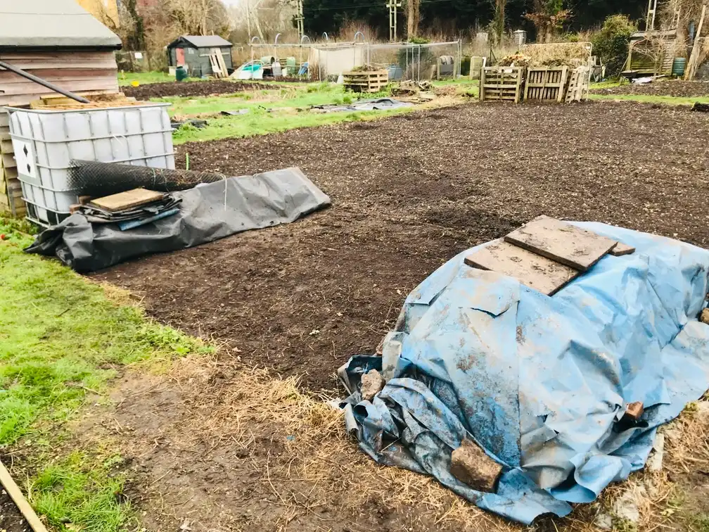 Clearing an allotment plot