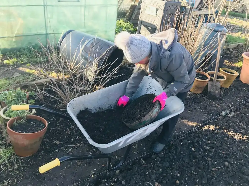 Sifting compost bin