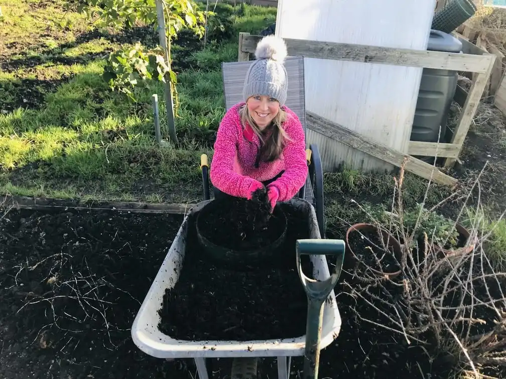 Sifting compost bin