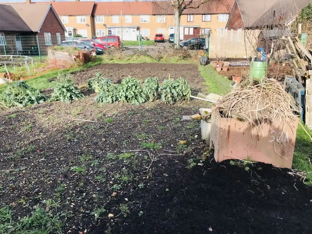 Clearing allotment plot