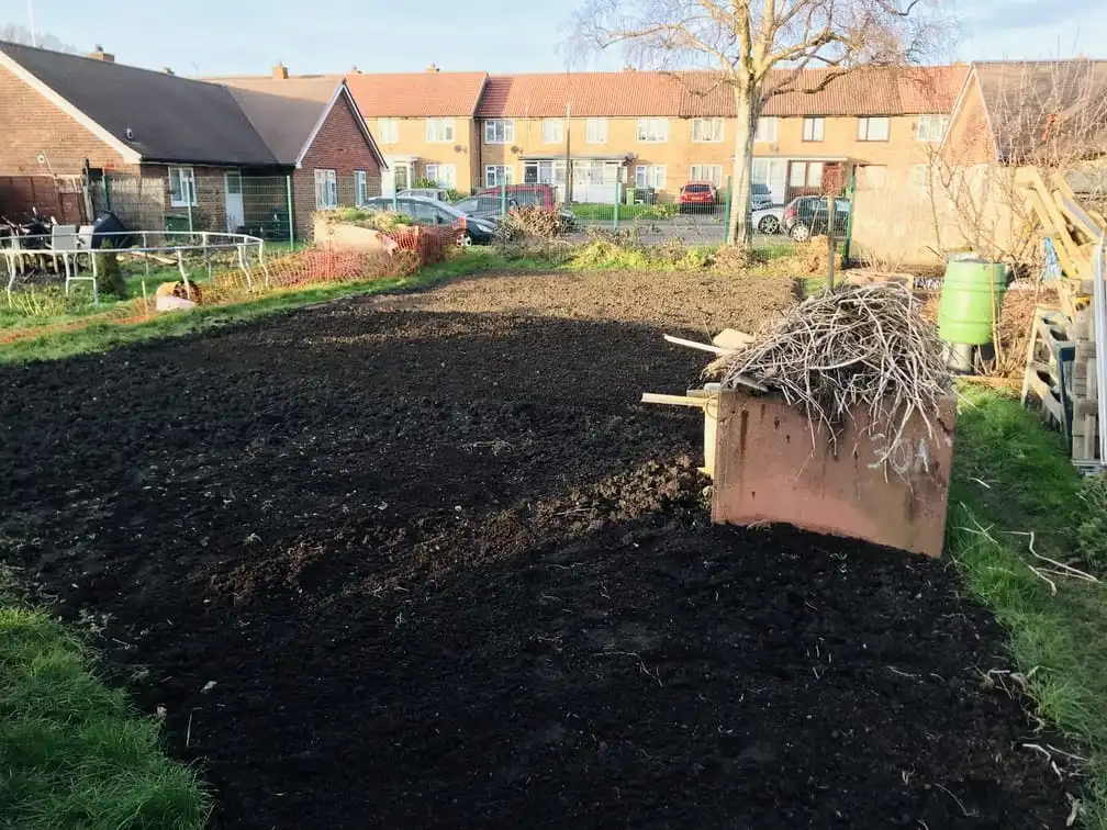 Digging an allotment plot