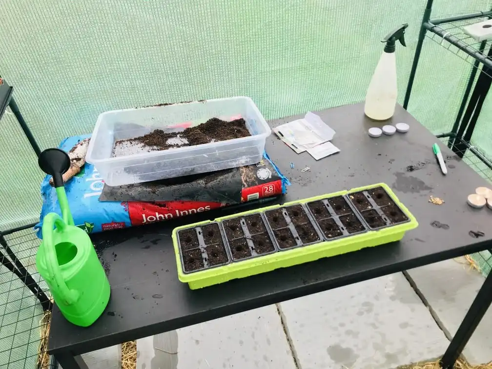 Tidy work table in greenhouse