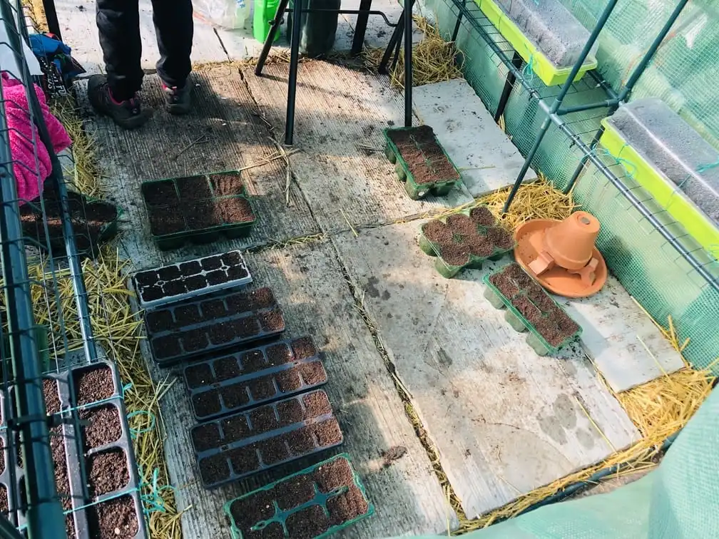 Vicky Salter sowing seeds at the allotment