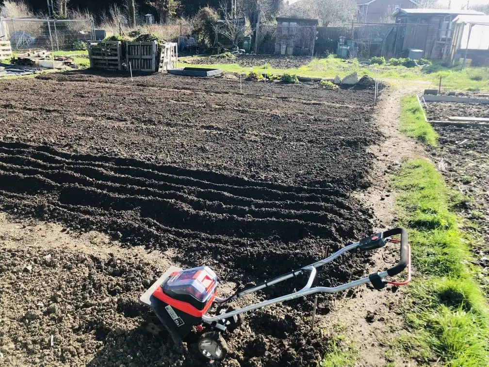 Vicky Salter sowing seeds at the allotment