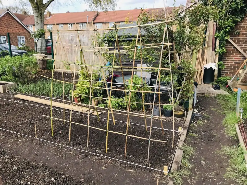 Building a frame for cucumbers