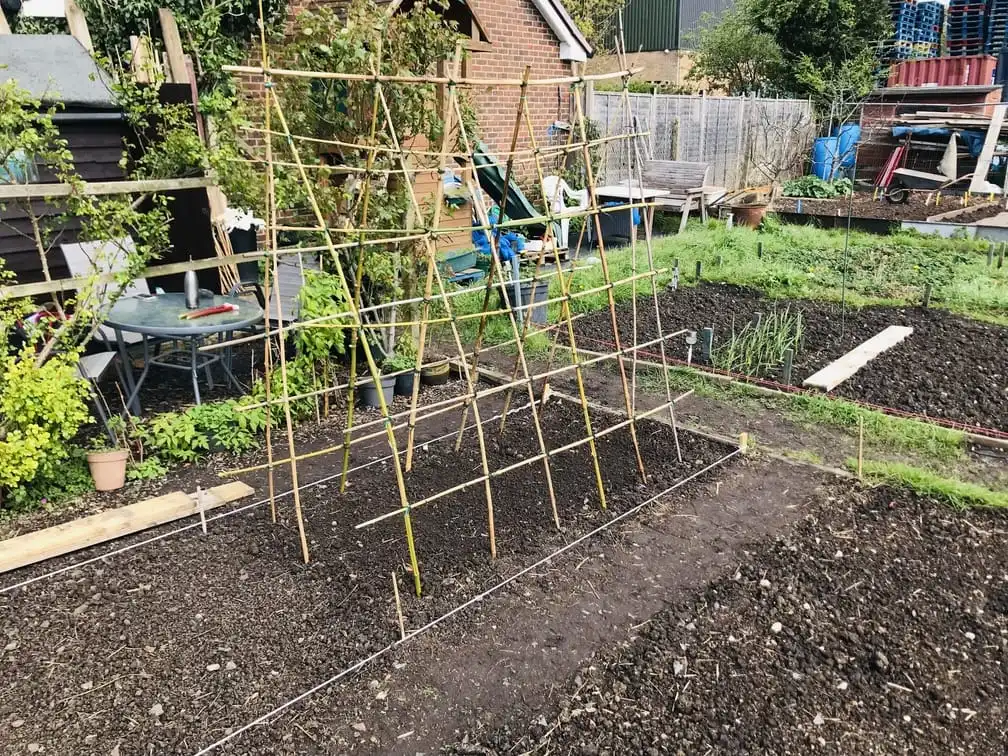 Building a frame for cucumbers