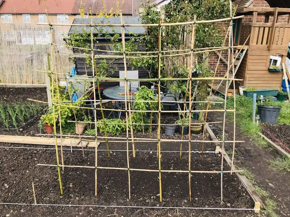 Building a frame for cucumbers