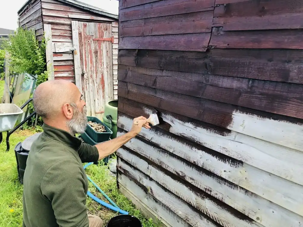 Painting shed at an allotment