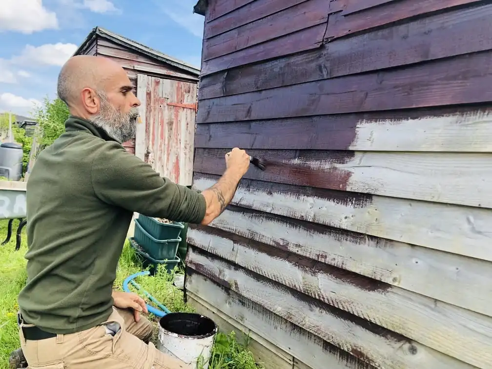 Painting shed at an allotment