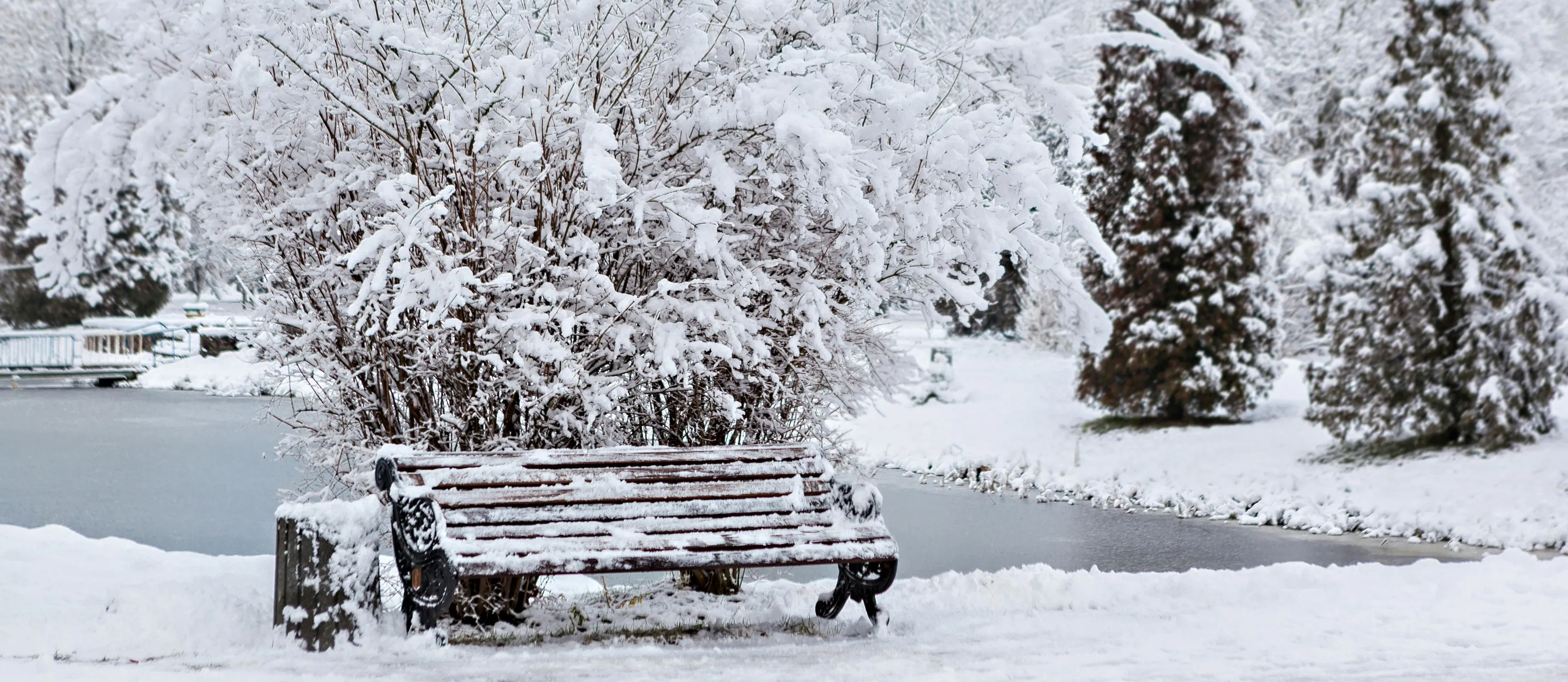 Park bench covered in white snow.