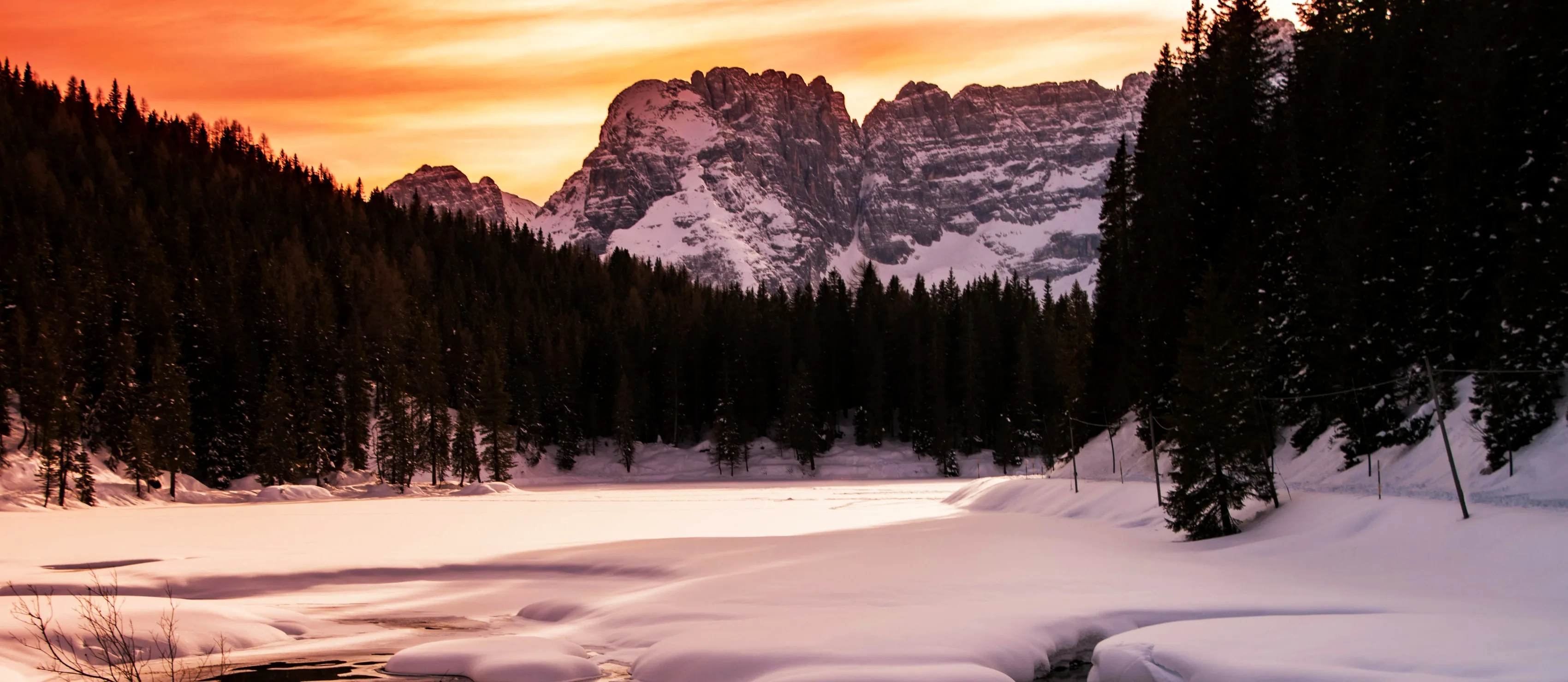 Sunset shining through still forest.
