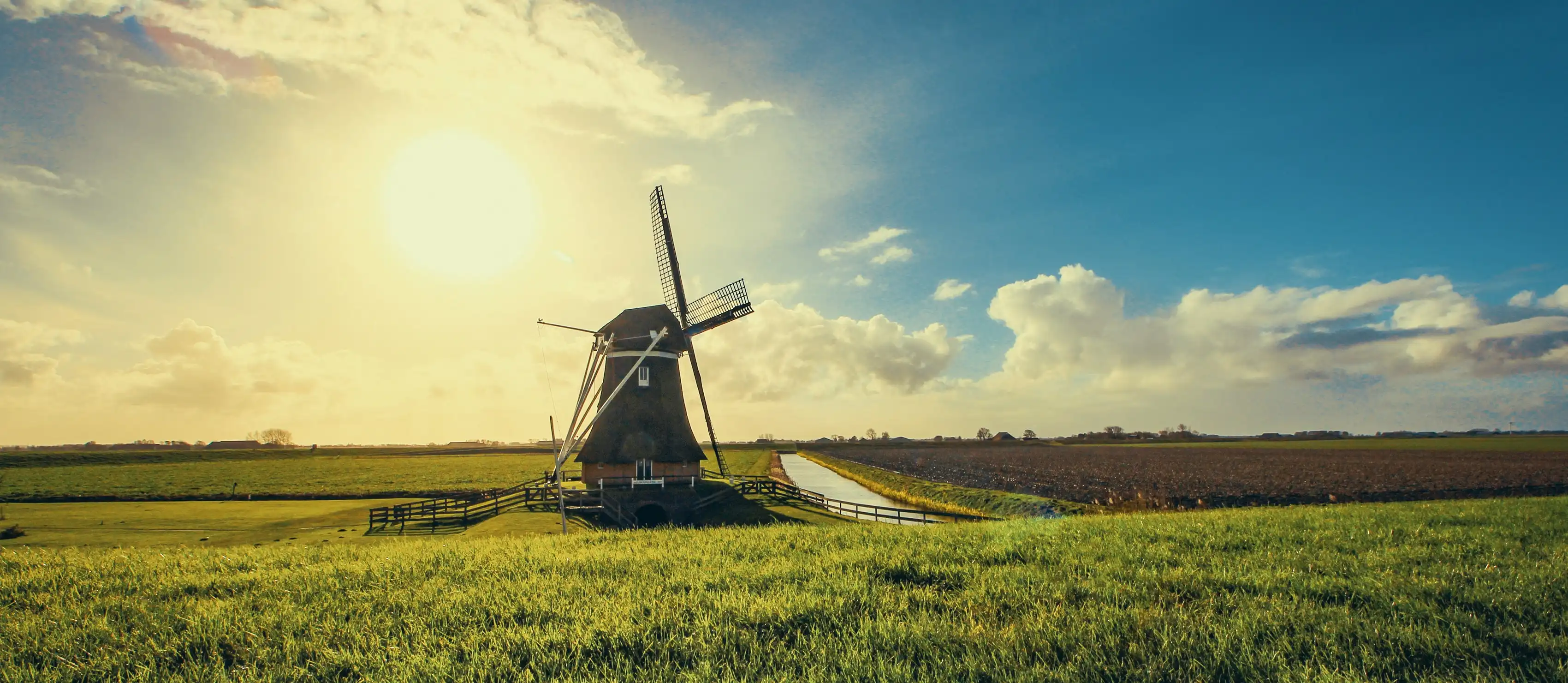 Windmill in a field