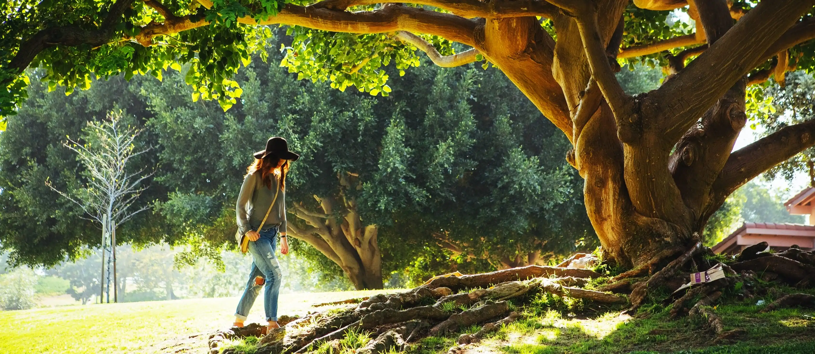 Woman walking to tree