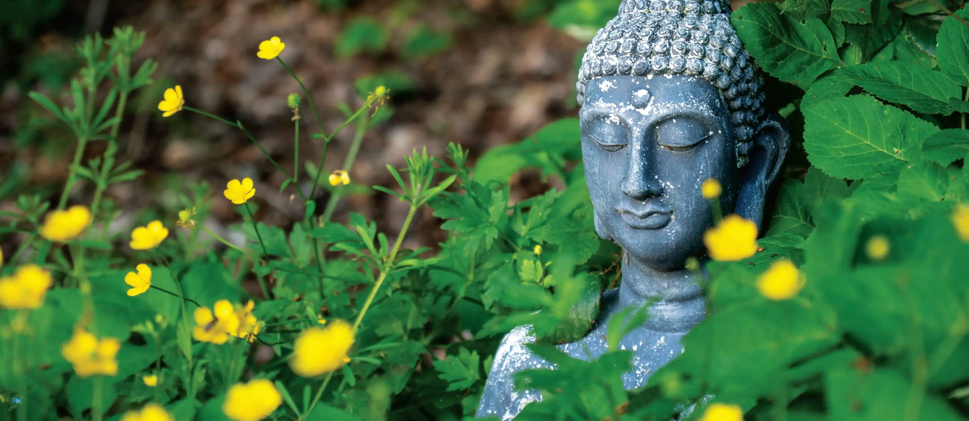 Buddha sitting amongst flowers