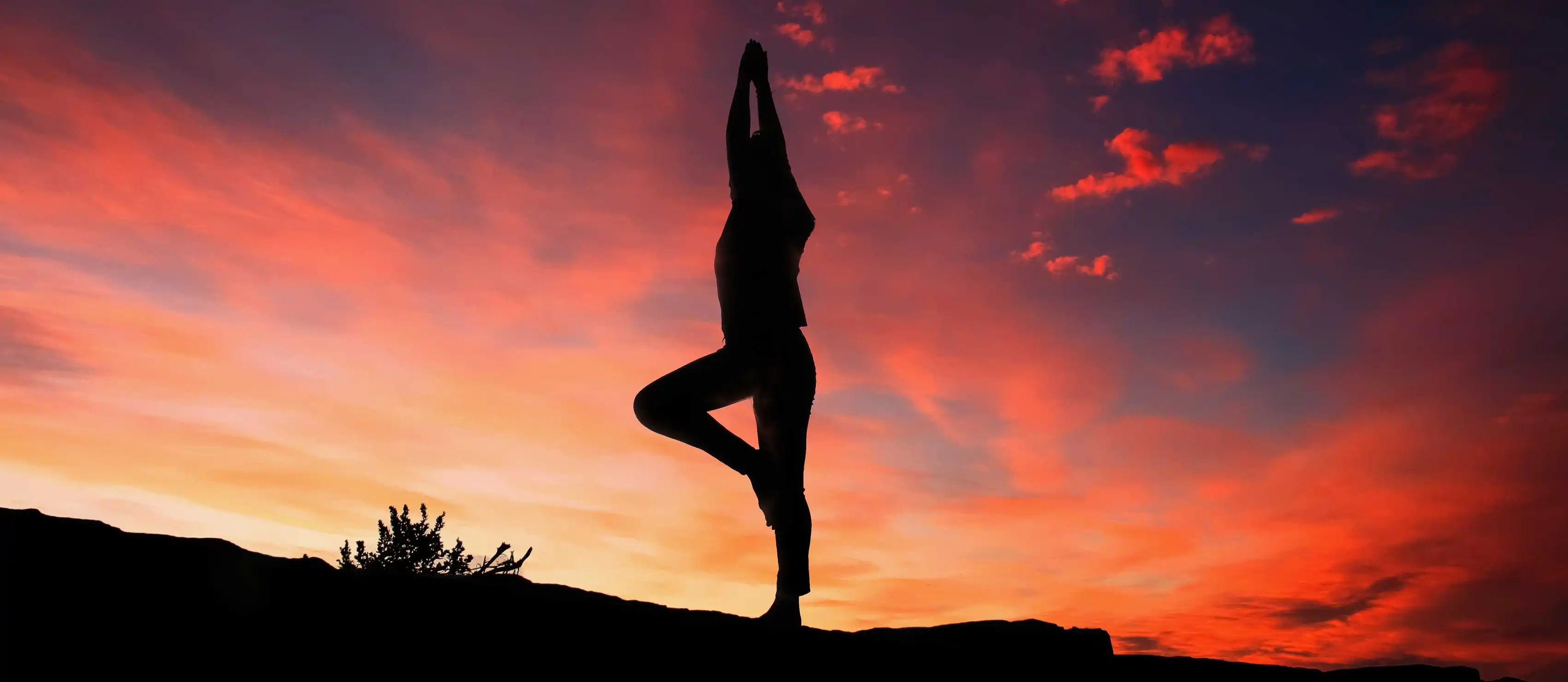 Girl doing tree pose in sunset