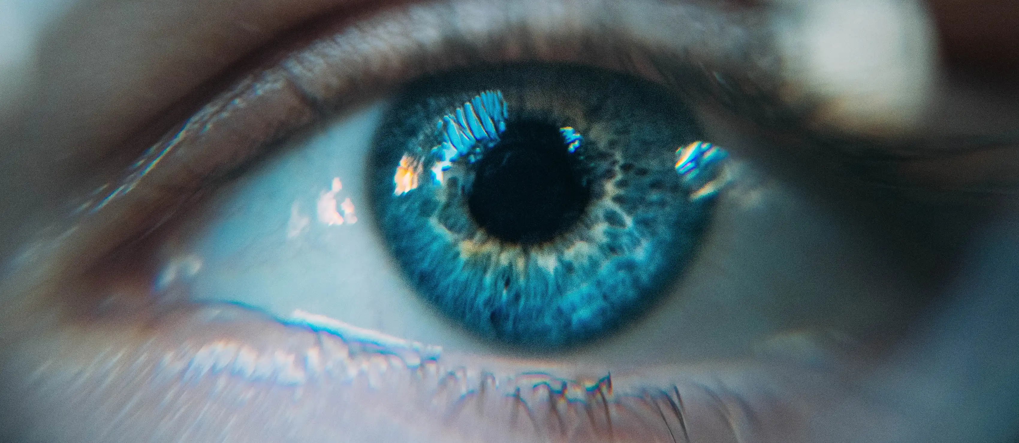 An eye close up