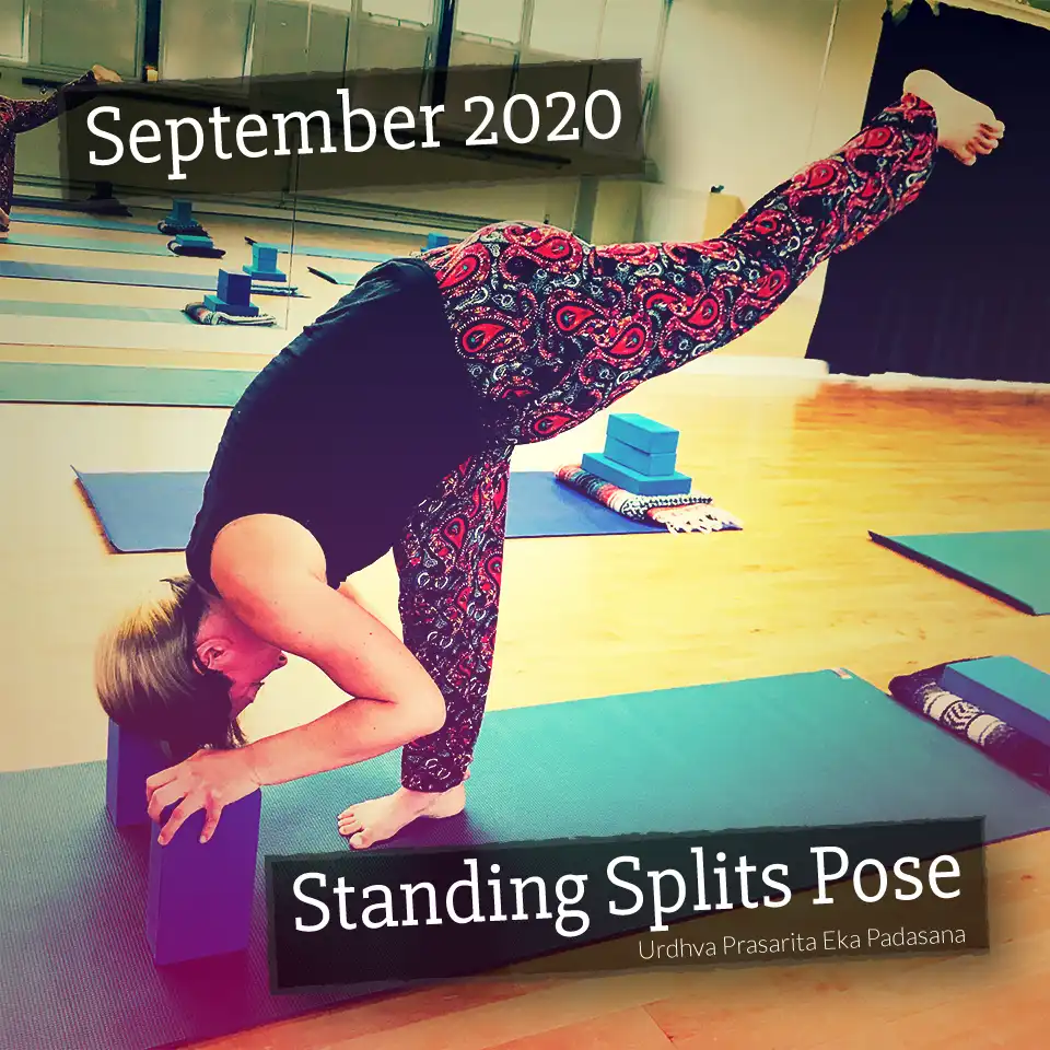 Standing splits pose