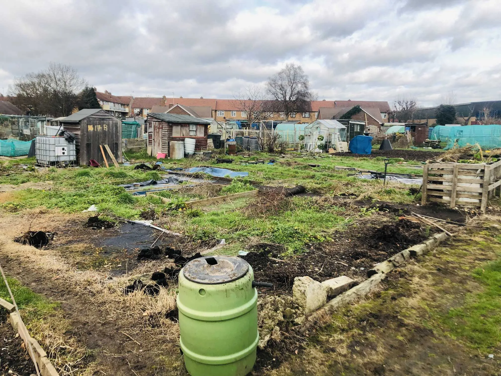 Clearing an allotment plot.