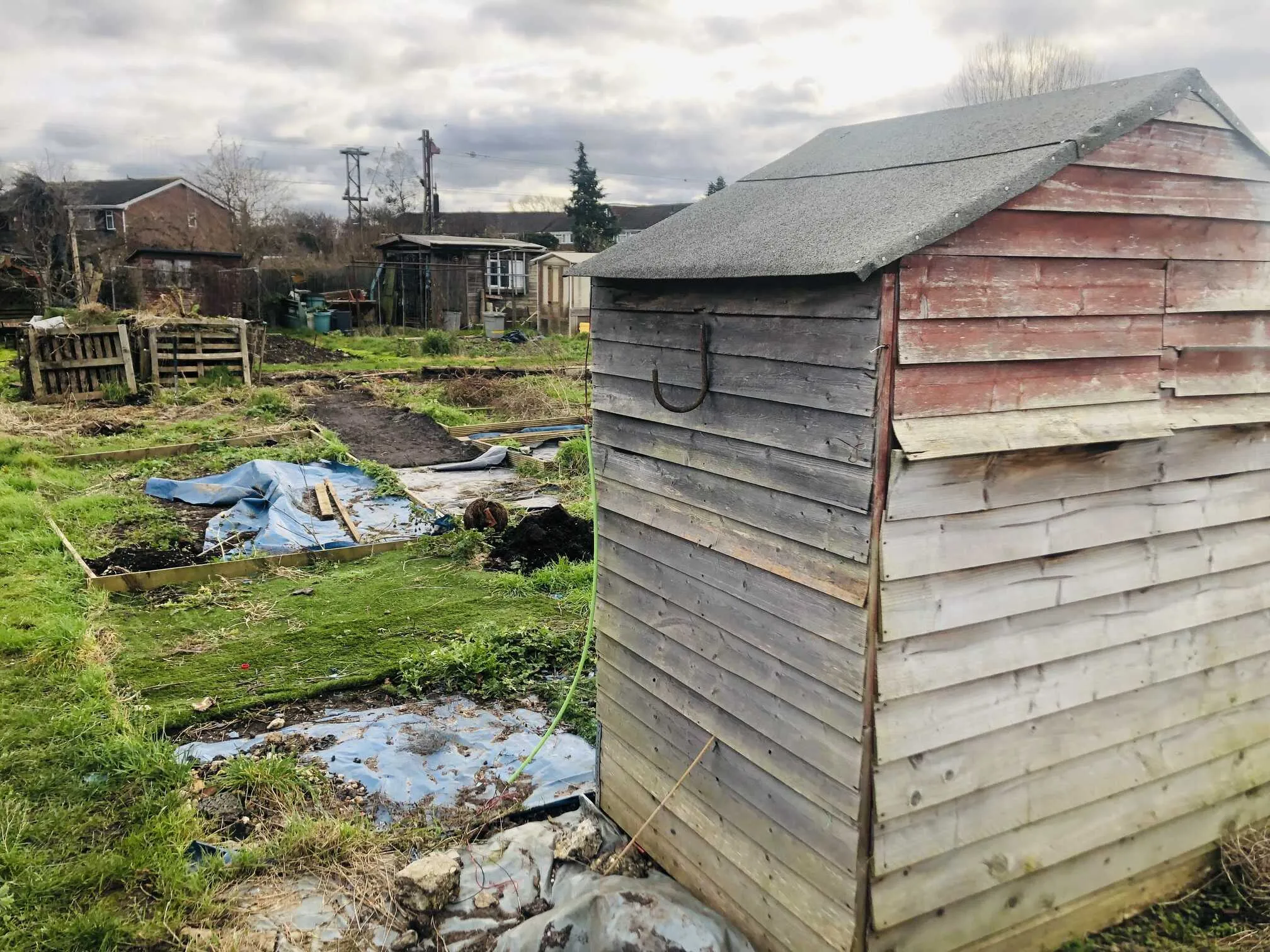 Clearing an allotment plot.