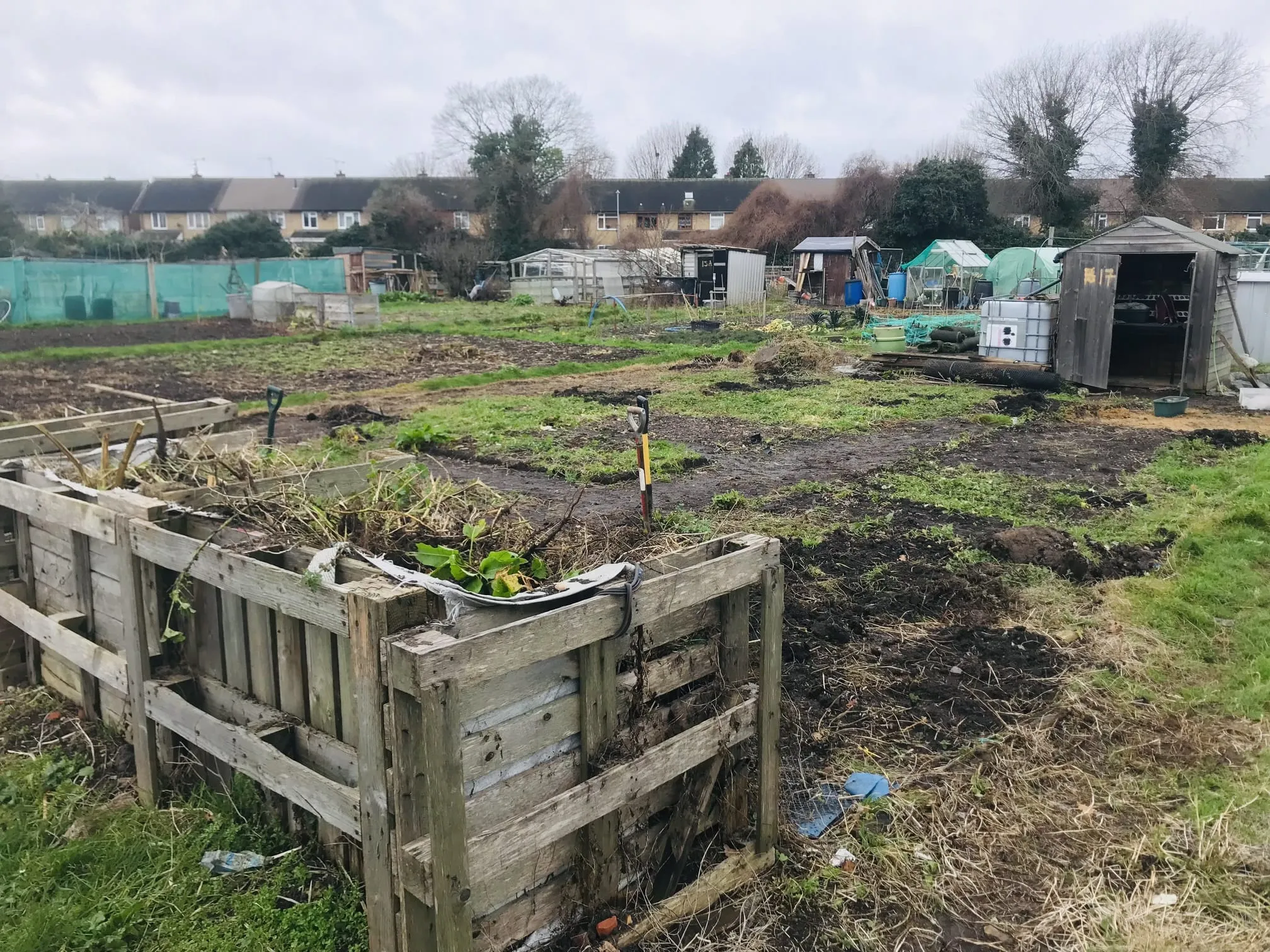 Clearing an allotment plot.
