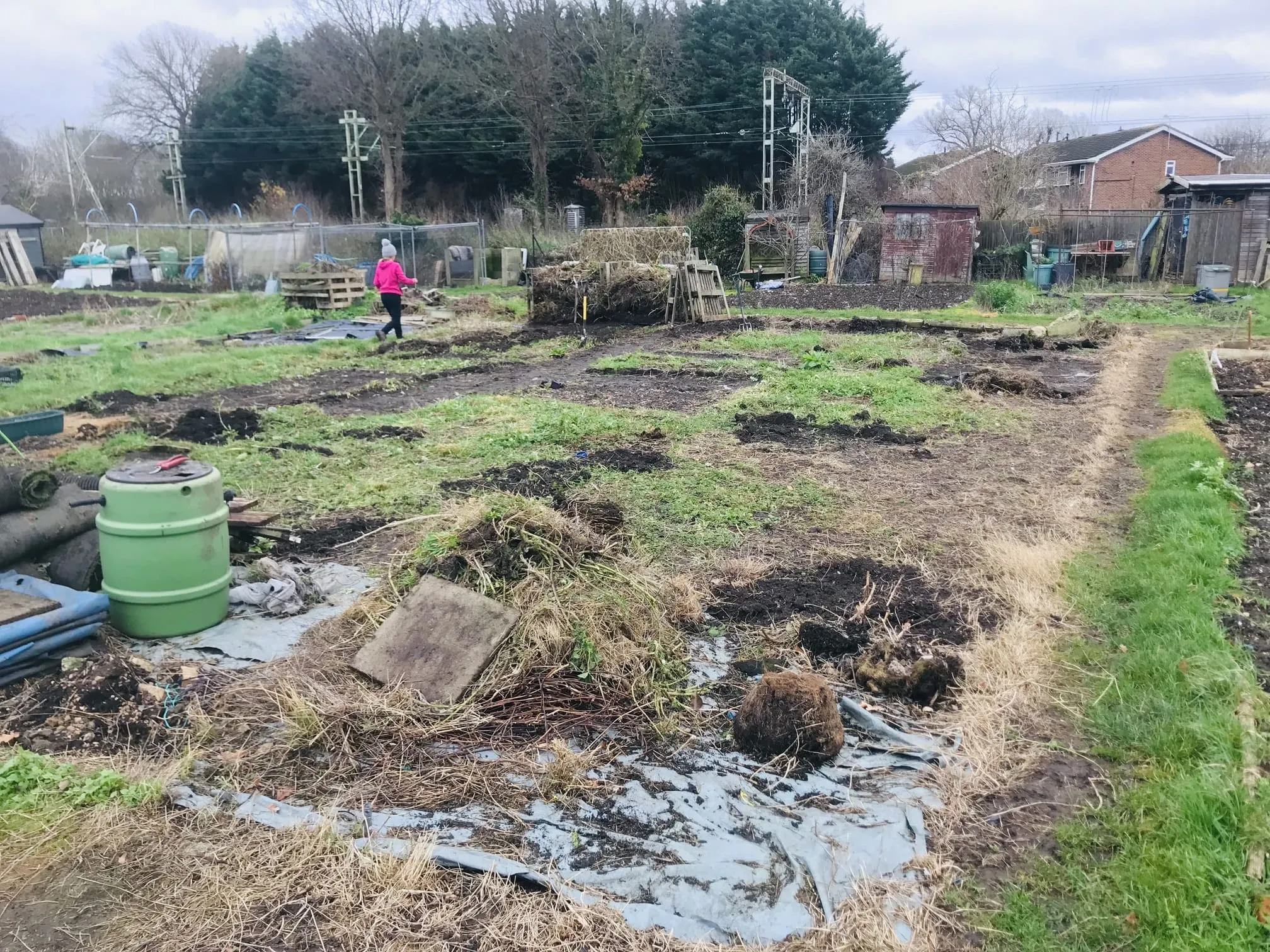 Clearing an allotment plot.