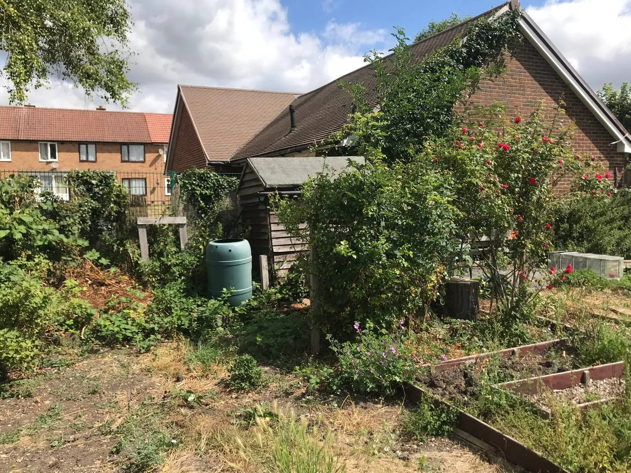 Clearing an allotment plot.