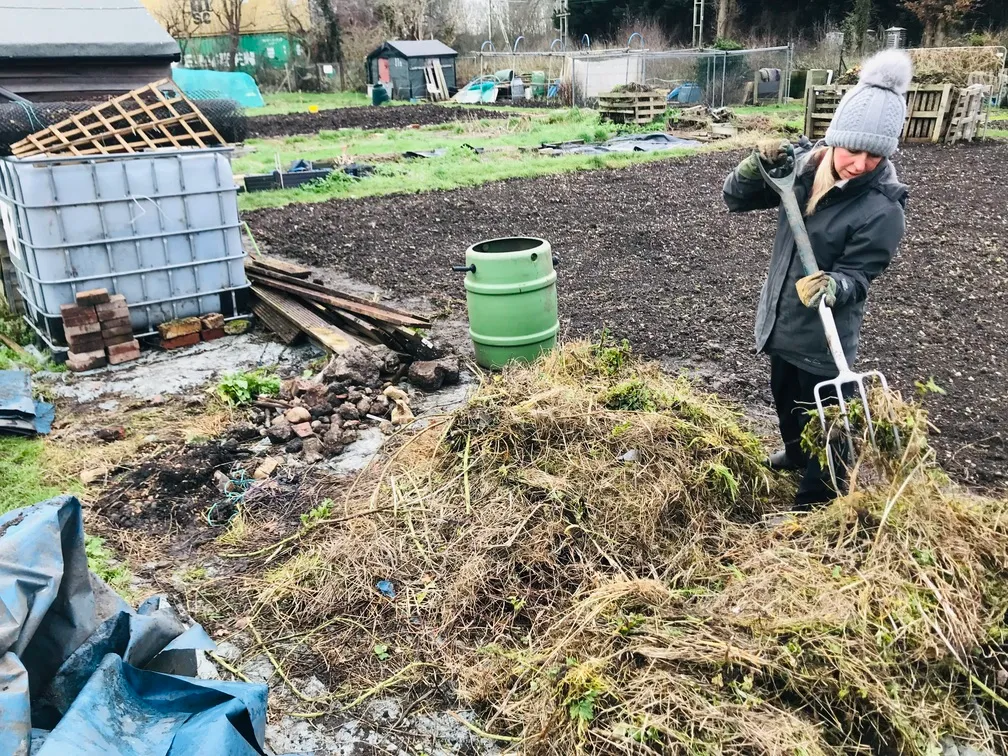 Clearing an allotment plot.
