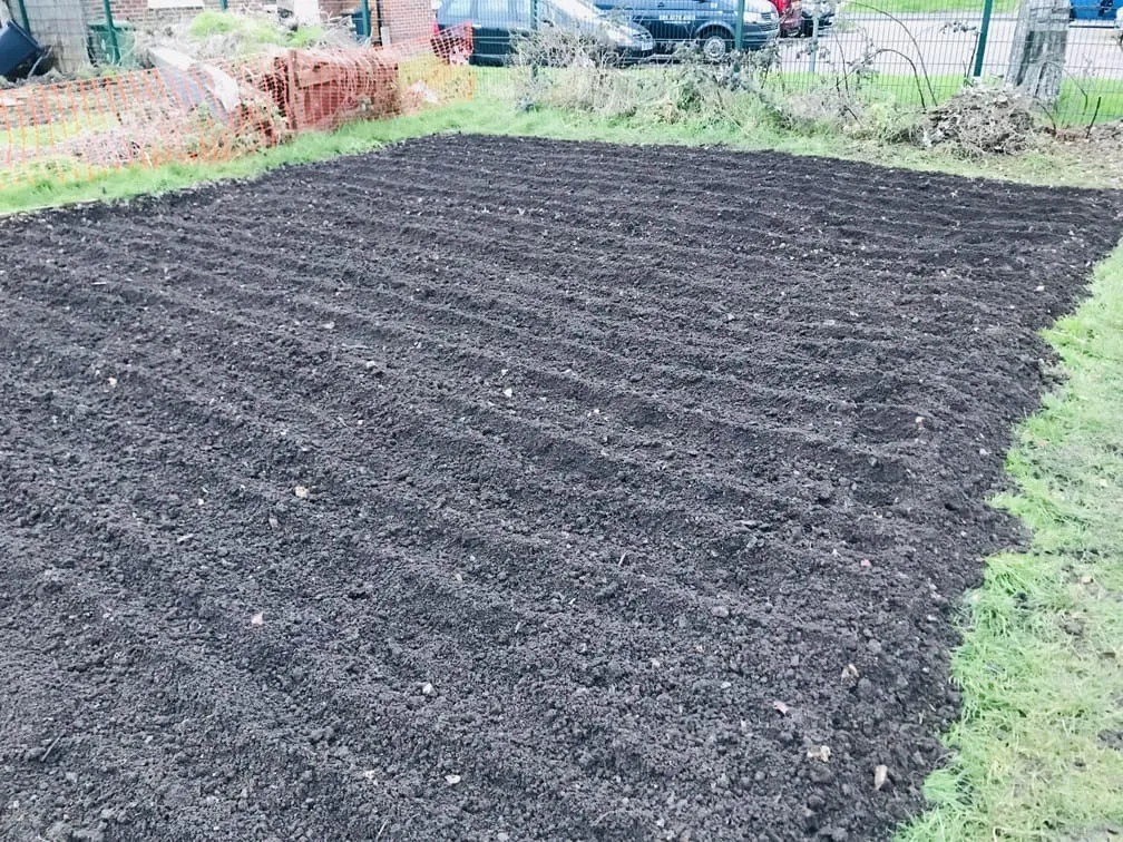 Digging an allotment plot.