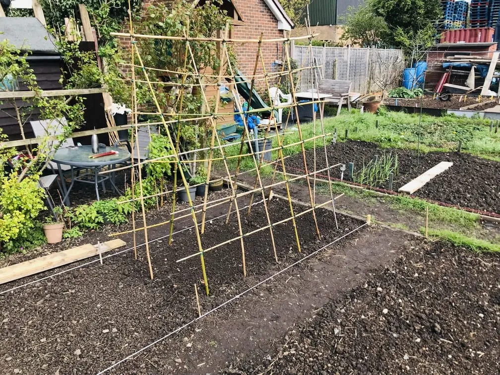 Building a frame for cucumbers at the allotment.