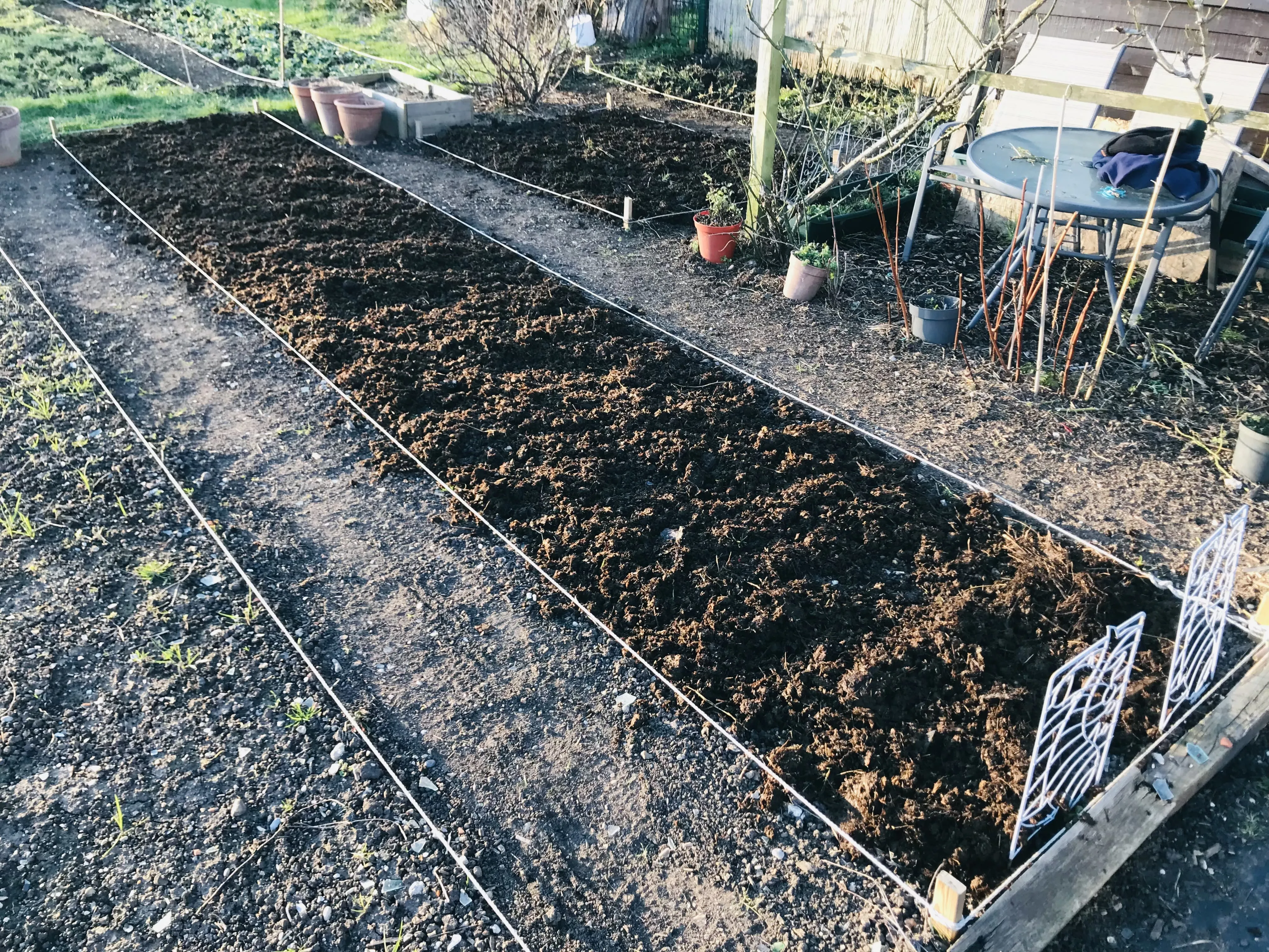 Manure spread on the allotment