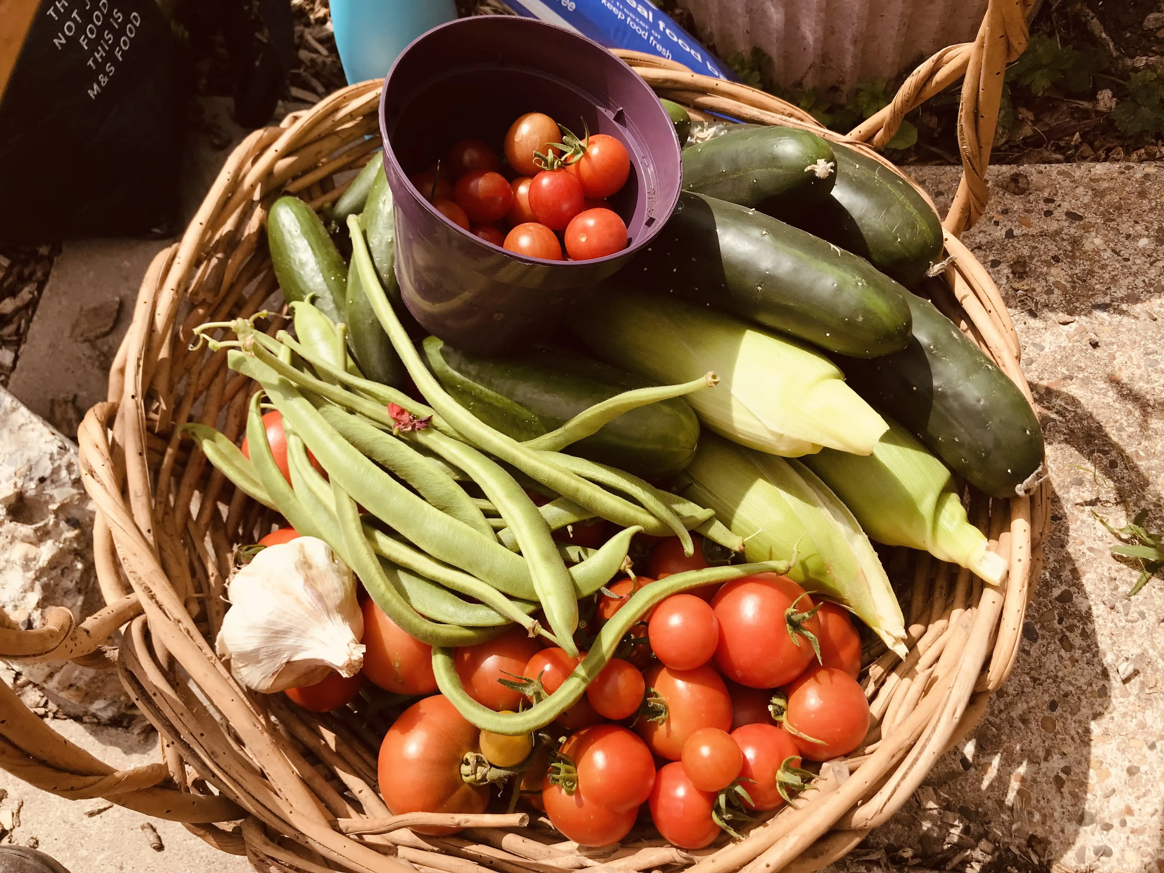 A basket of fresh vegetables.