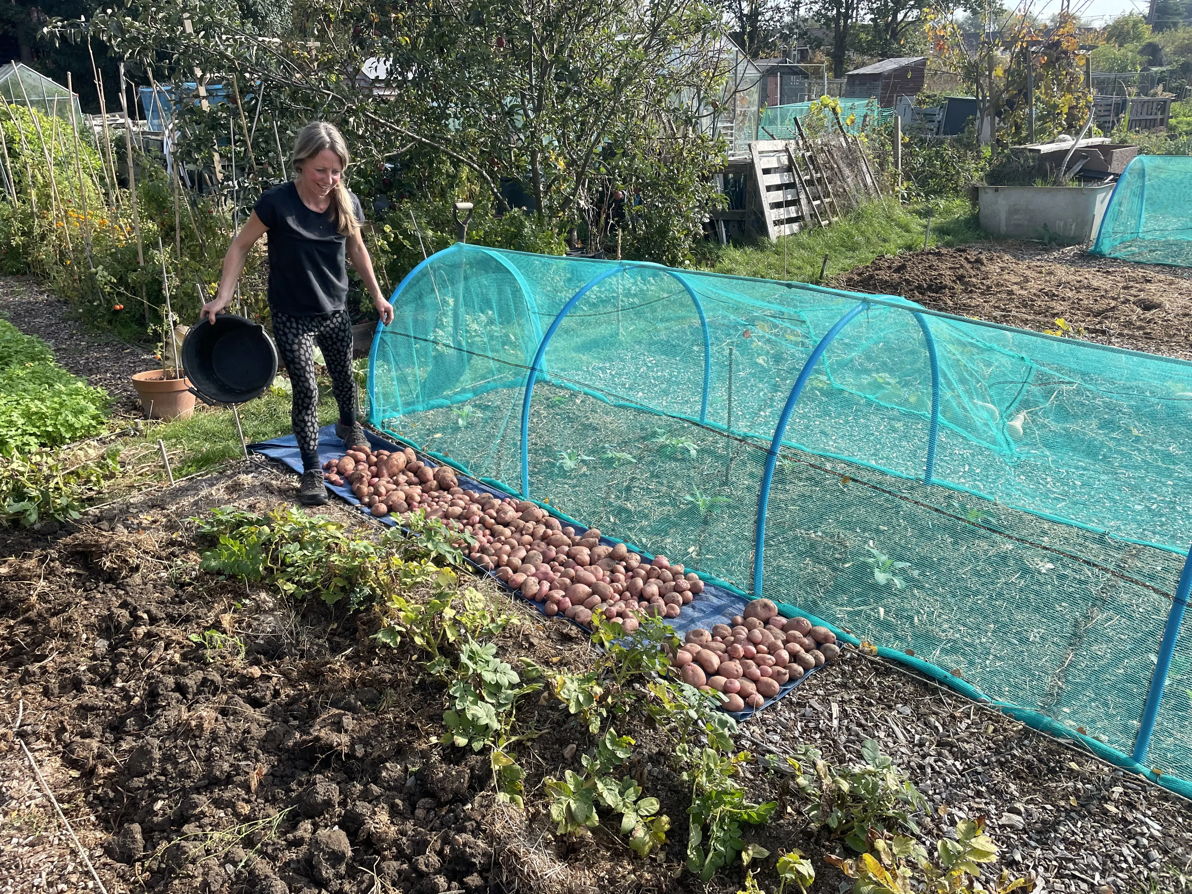 Vicky Salter checking our potatoes.