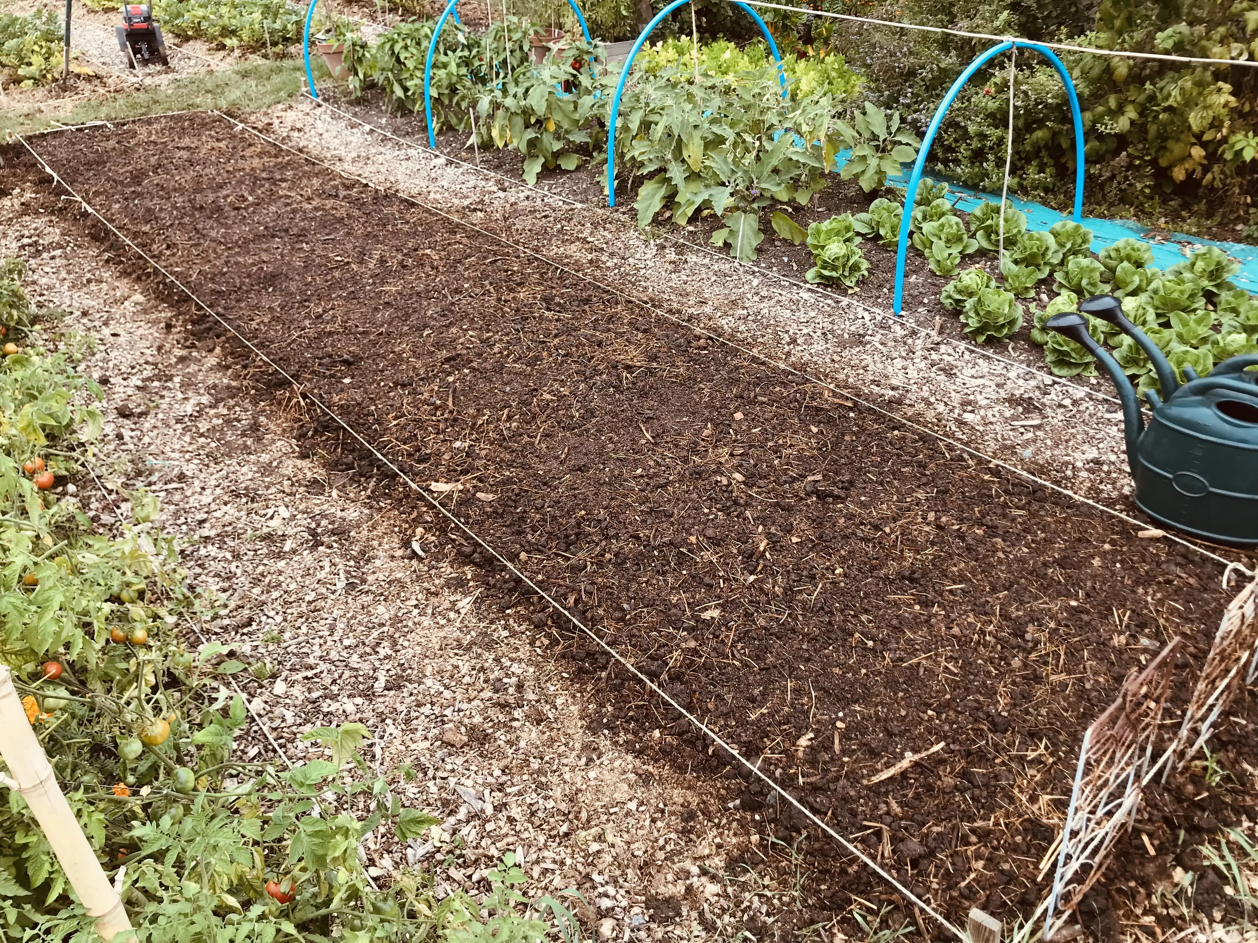 Ground prepared for cover crops.