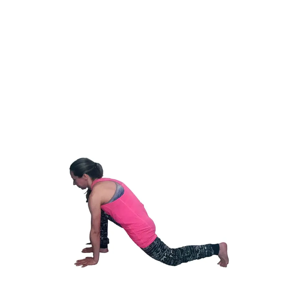 Lunge Pose