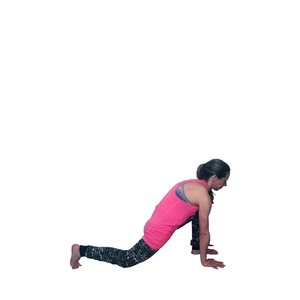 Lunge Pose
