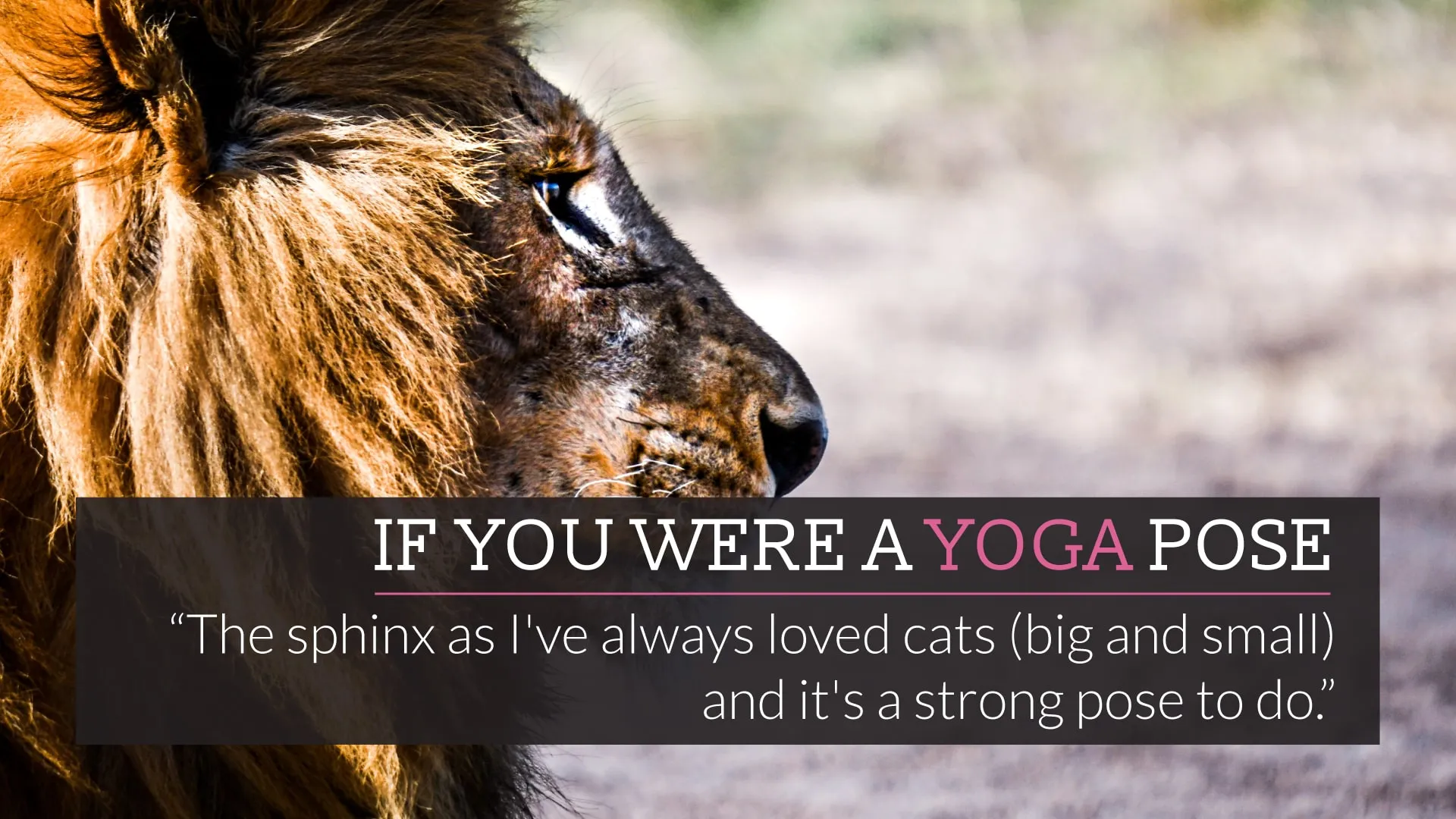 If you were a yoga pose.