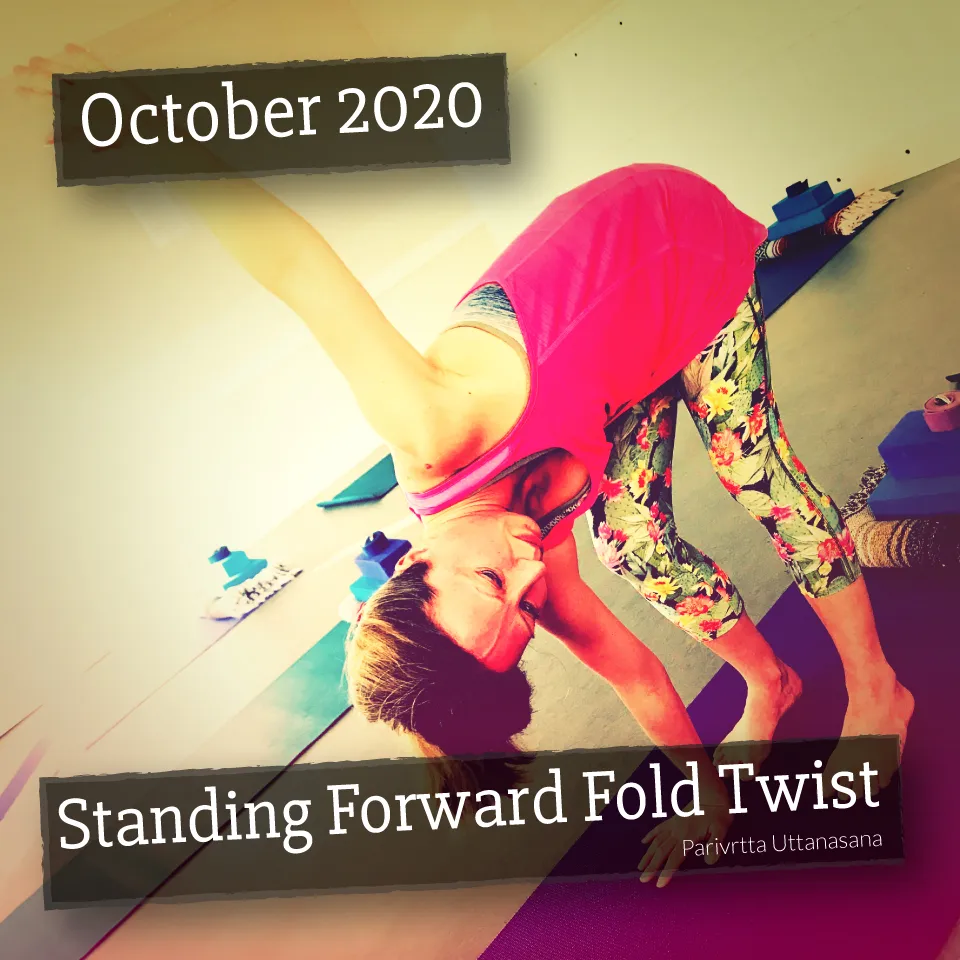 Standing forward fold twist.